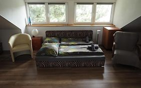 Apartmán U Borovice